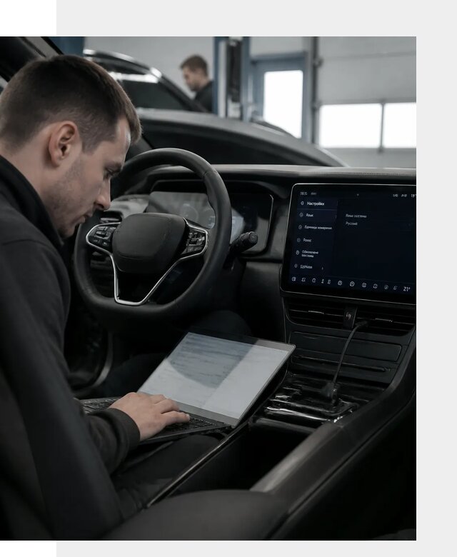 Русификация автомобилей BYD под ключ для всех моделей в Новодвинске