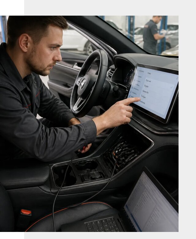 Профессиональная русификация BYD SONG Plus в Новодвинске